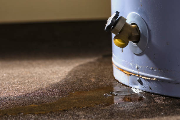 Best Flooded house restoration  in Coon Rapids, IA
