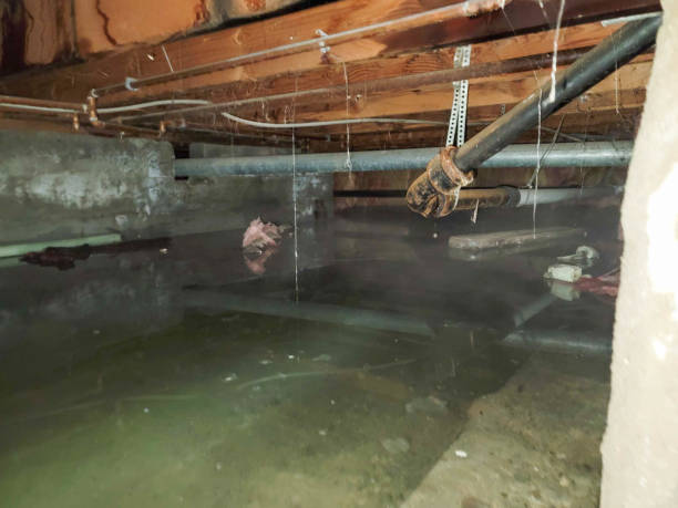 Best Fire Damage Restoration  in Coon Rapids, IA