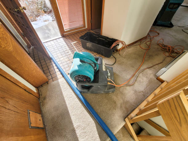 Best Sewage cleanup and water damage restoration  in Coon Rapids, IA