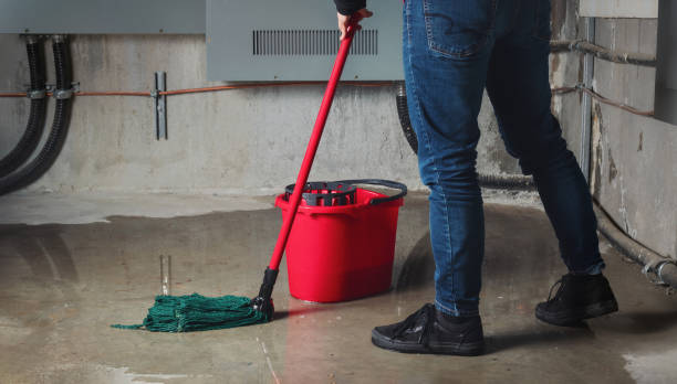 Water damage restoration process in Coon Rapids, IA