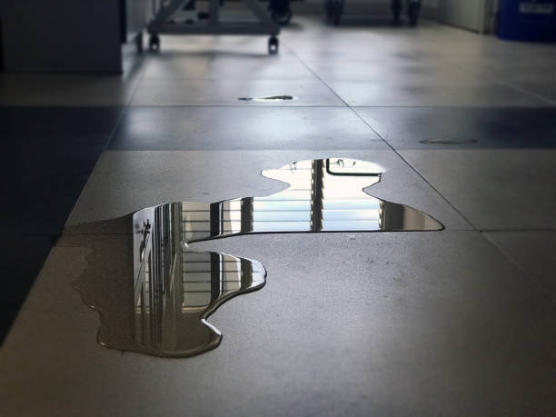 Best 24-hour water damage restoration  in Coon Rapids, IA